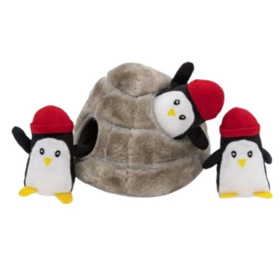 burrow penguins