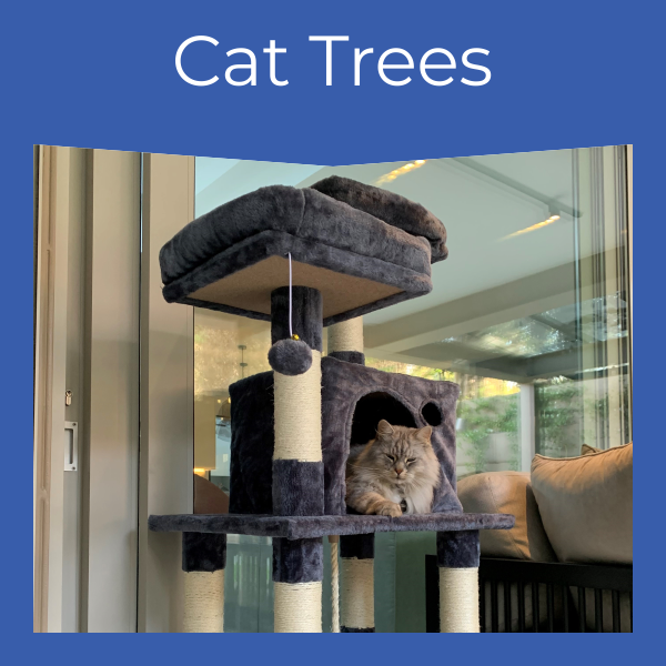 intro cat trees