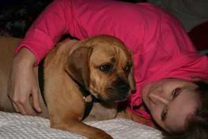 fireworks lay with dog