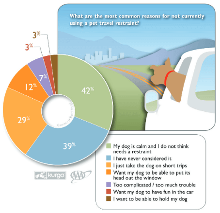 pet vehicle safety survey
