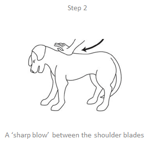 choking step2