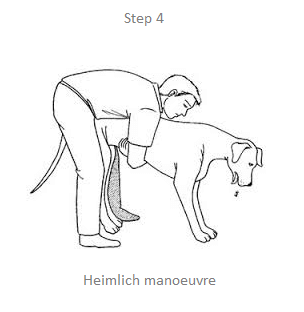 choking step4