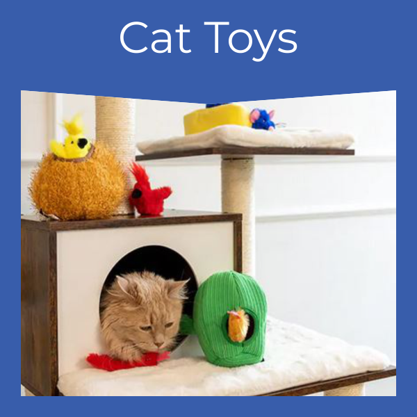 Cat Toys